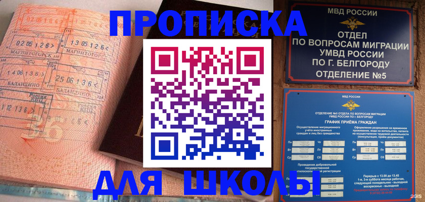 прописка иностранных граждан в Елизово
